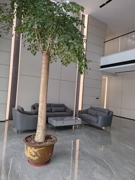 Haining Caiyuan New Material Technology Co., Ltd.