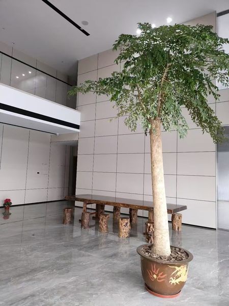 Haining Caiyuan New Material Technology Co., Ltd.